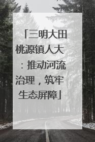 三明大田桃源镇人大：推动河流治理，筑牢生态屏障